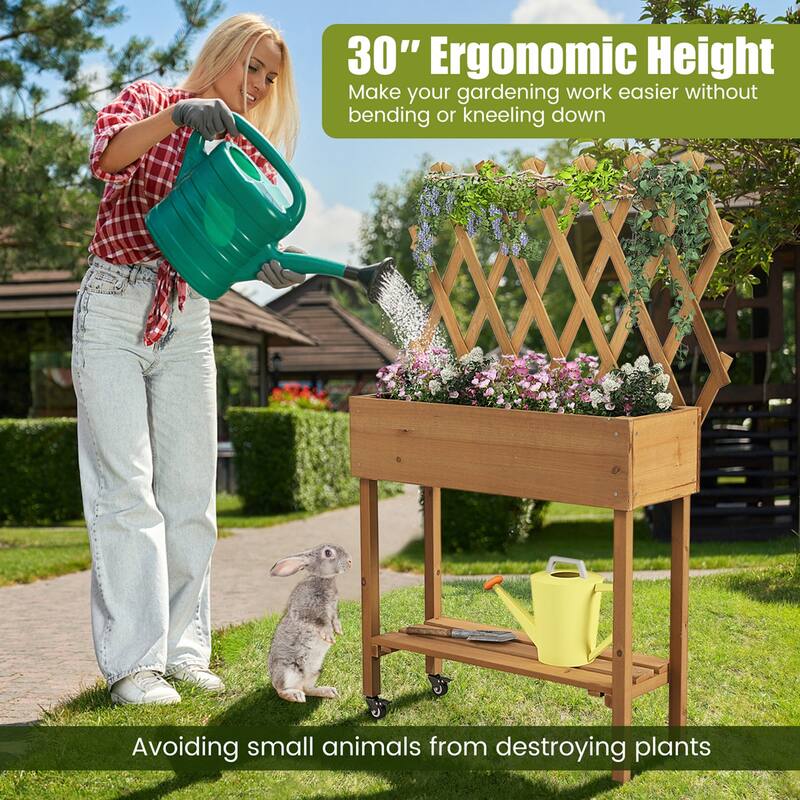 Raised Garden Bed with Trellis Wood Elevated Planter Bed with Legs