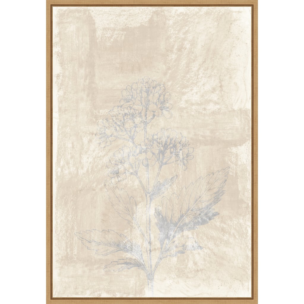 Woodsia No. 3 by Cartissi (23 x 33 in.), Framed Canvas Wall Art Print