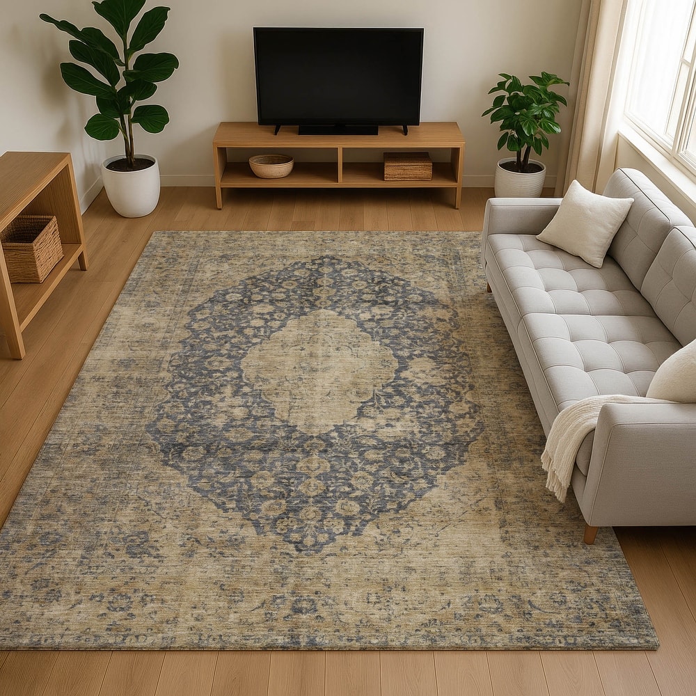 Premium Washable Super Soft Vintage Traditional Mayfield Rug