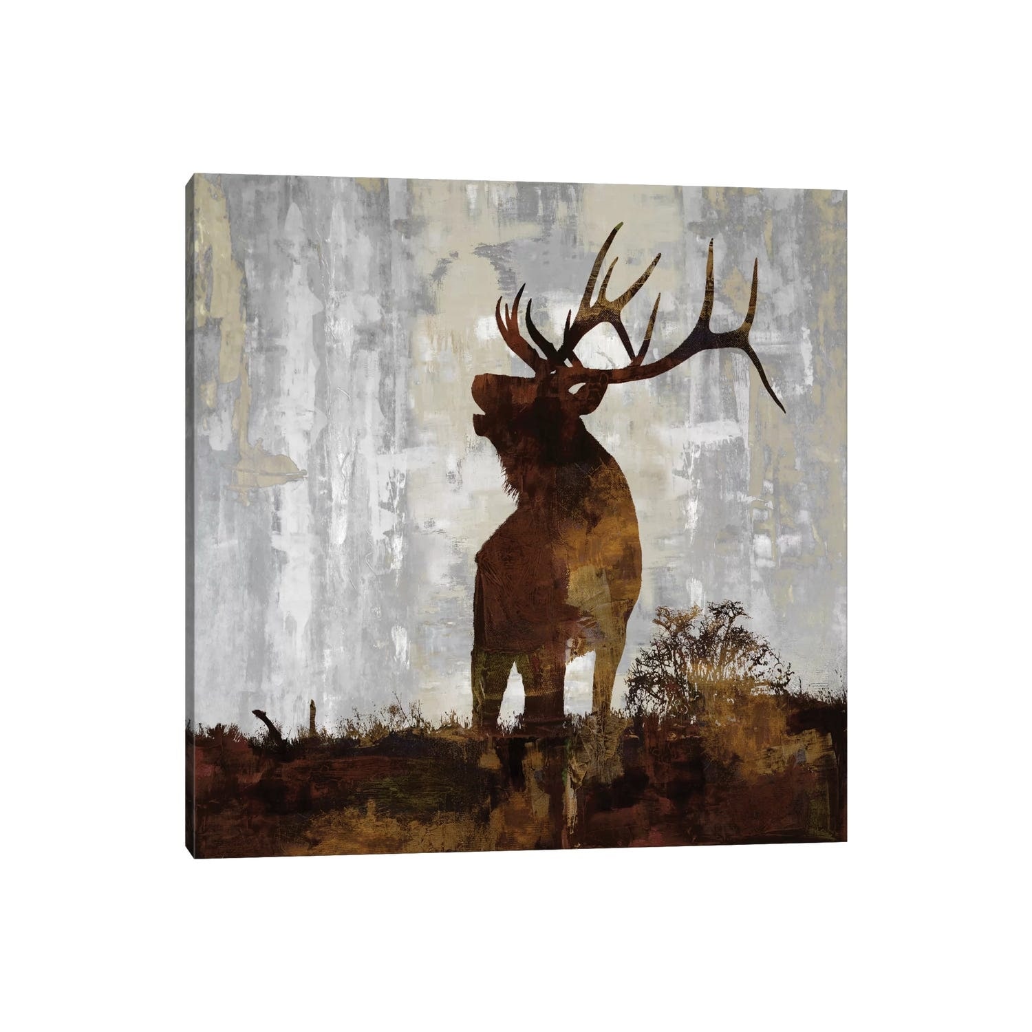 iCanvas "Elk" by Carl Colburn Canvas Print