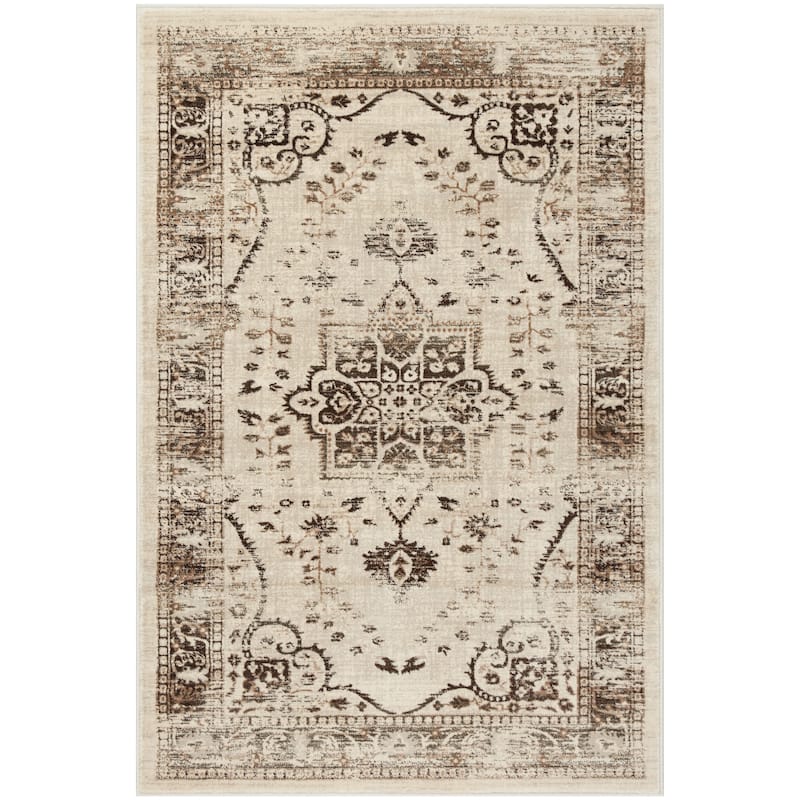 SAFAVIEH Evoke Bev Distressed Vintage Boho Rug
