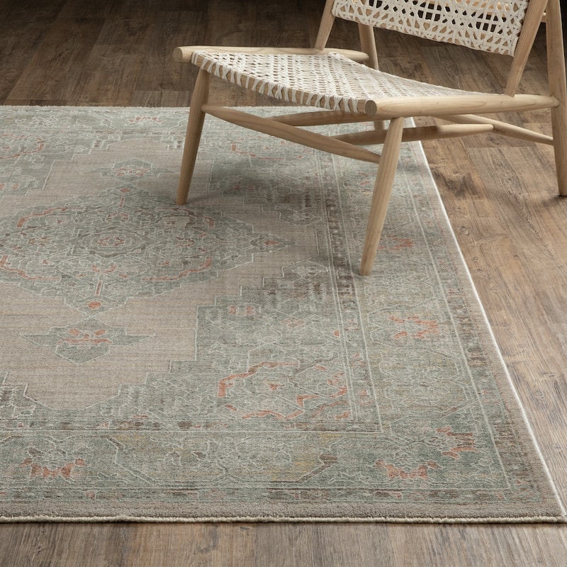 Kellan Global Medallion Beige/ Multi Area Rug