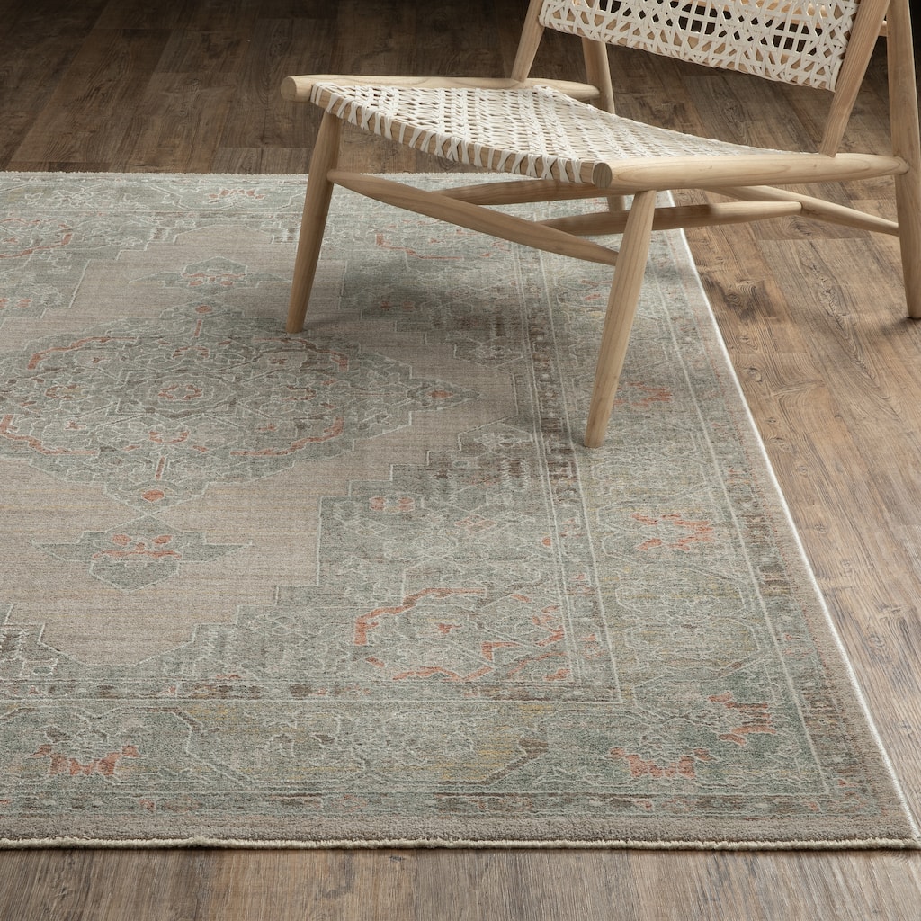 Kellan Global Medallion Beige/ Multi Area Rug