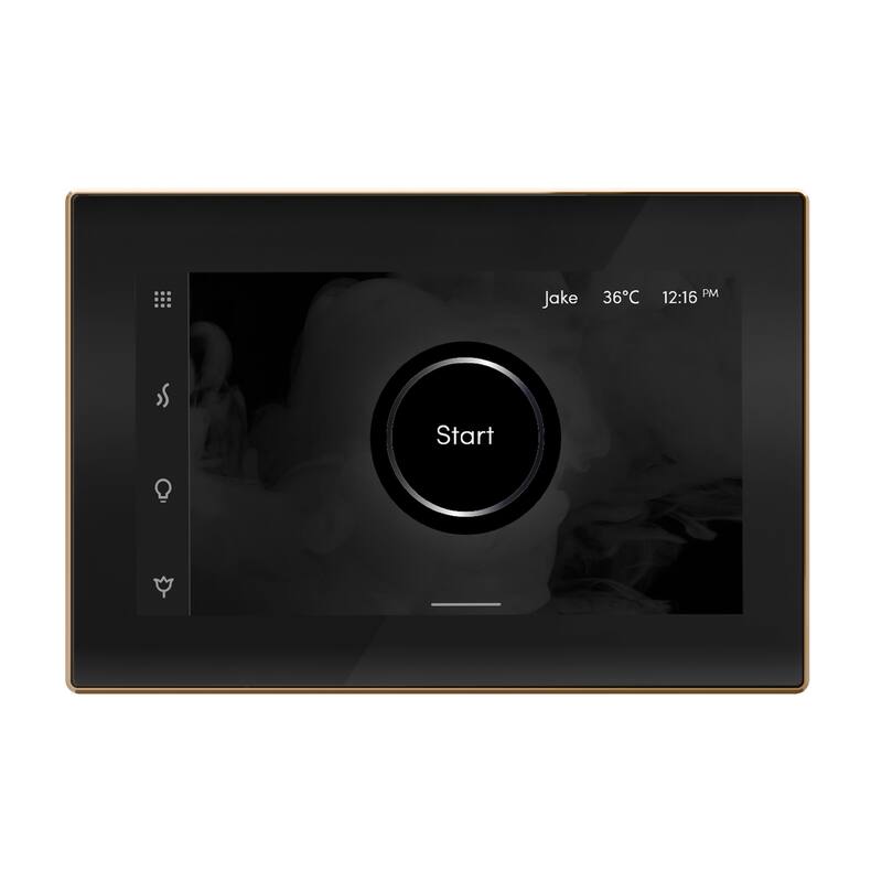 Mr Steam ISX Isteamx Steam Shower Control and Steamhead - Black / Polished Gold