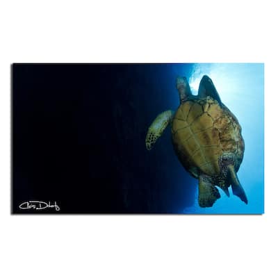 Ready2HangArt 'Maui Turtle Blue' Wrapped Canvas Wall Art