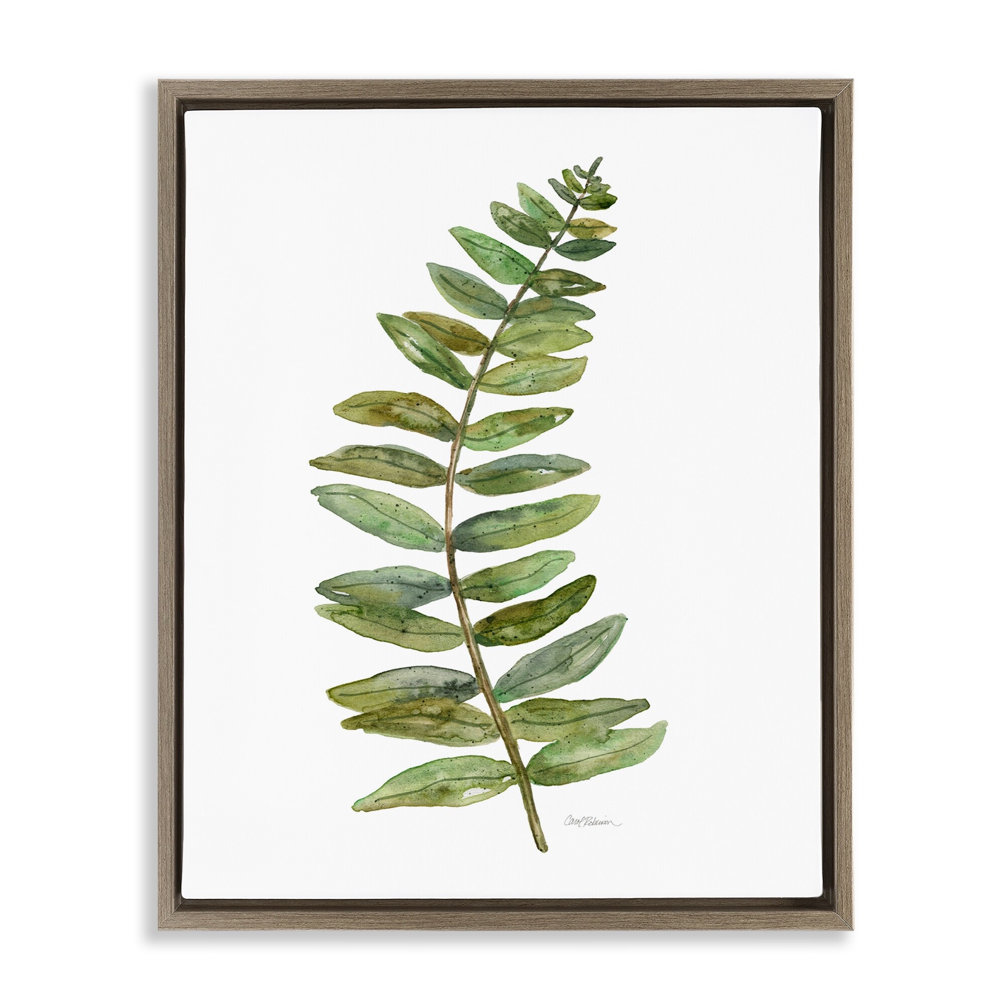 Stupell Curved Fern Branch Framed Floater Canvas Wall Art Design By Carol Robinson