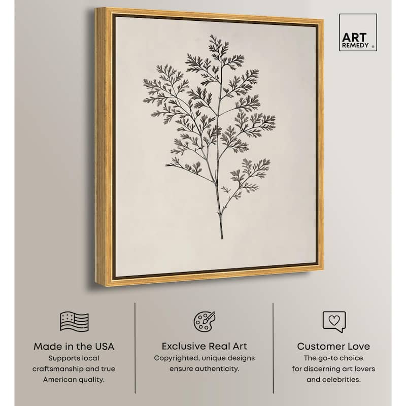 Aniseed Anatomy II Canvas Delicate Floral by Art Remedy