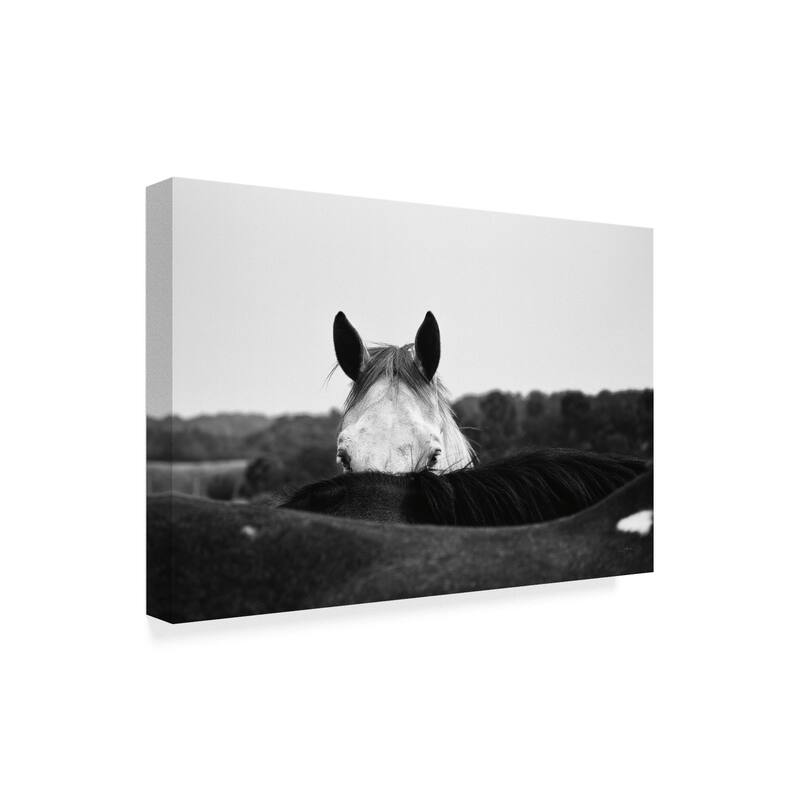 Aledanda 'Flirt White Horse' Canvas Art