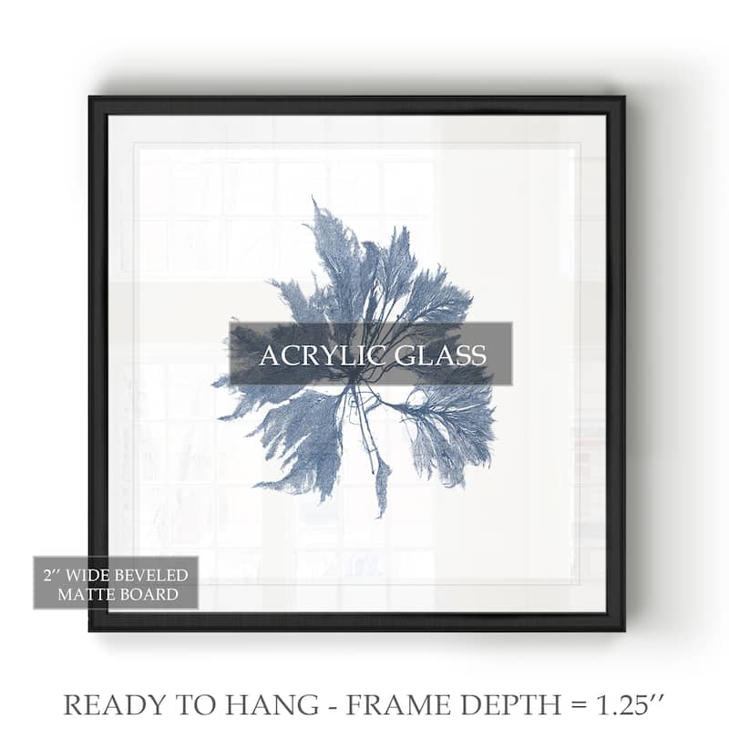 Navy Seaweed I -Black Framed Print