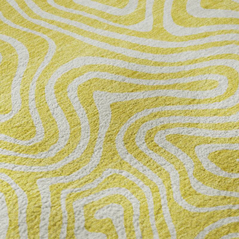 Premium Washable Super Soft Modern Trippy Mayfield Rug
