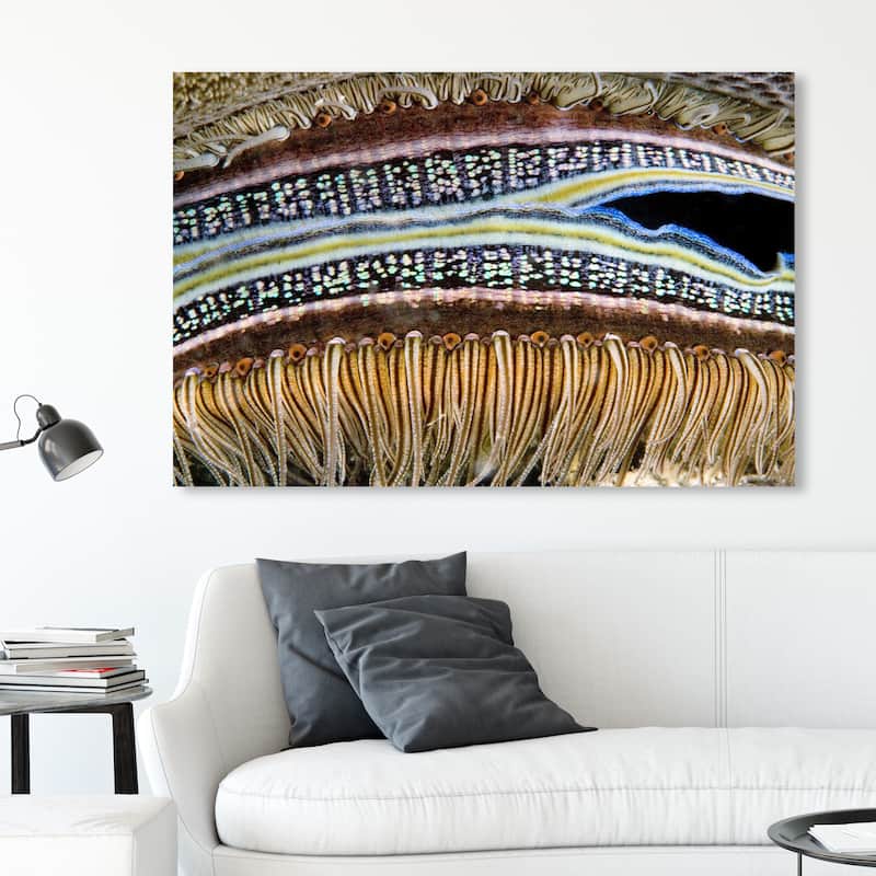 Wynwood Studio Nautical and Coastal David Fleetham - Coral Boring Scallop Brown and Nautical & Coastal Wall Art Canvas Print - 30 x 45