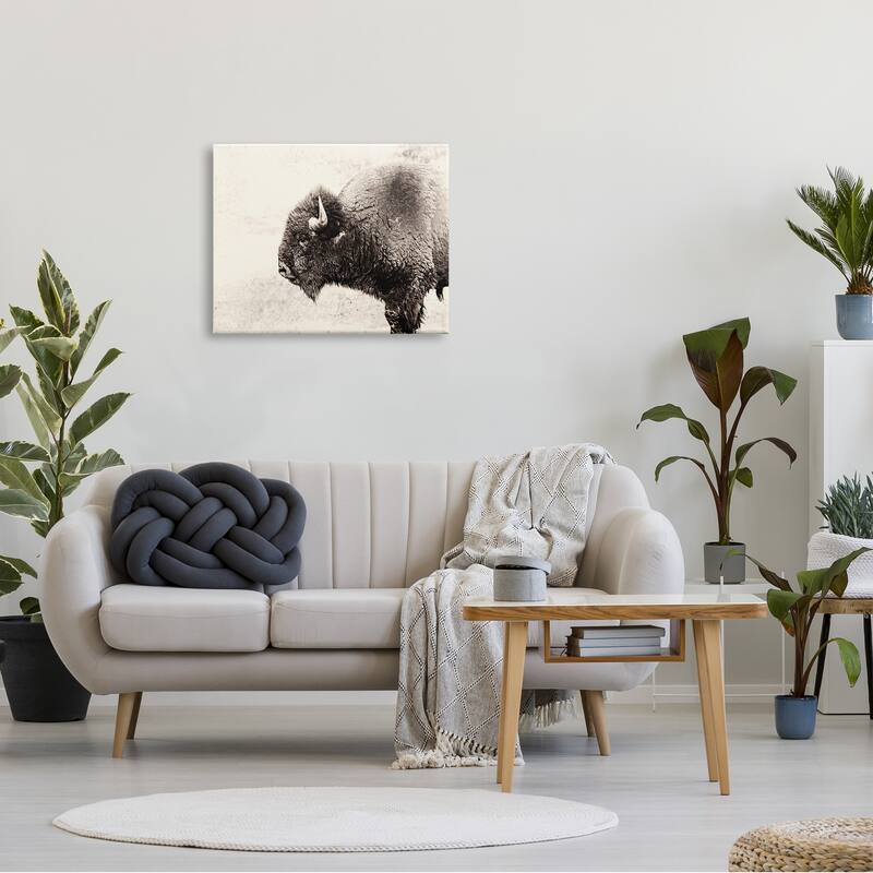 Stupell Shaggy Buffalo Rustic Portrait Vintage Sepia Tone Photography Canvas Wall Art - Black