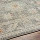preview thumbnail 11 of 10, Livabliss Bitlis Faded Classic Floral Area Rug