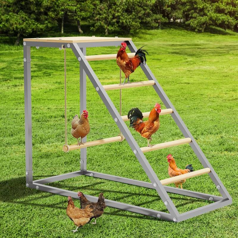 Chicken Perch for Coop for Backyard Farm Chickens in Coop