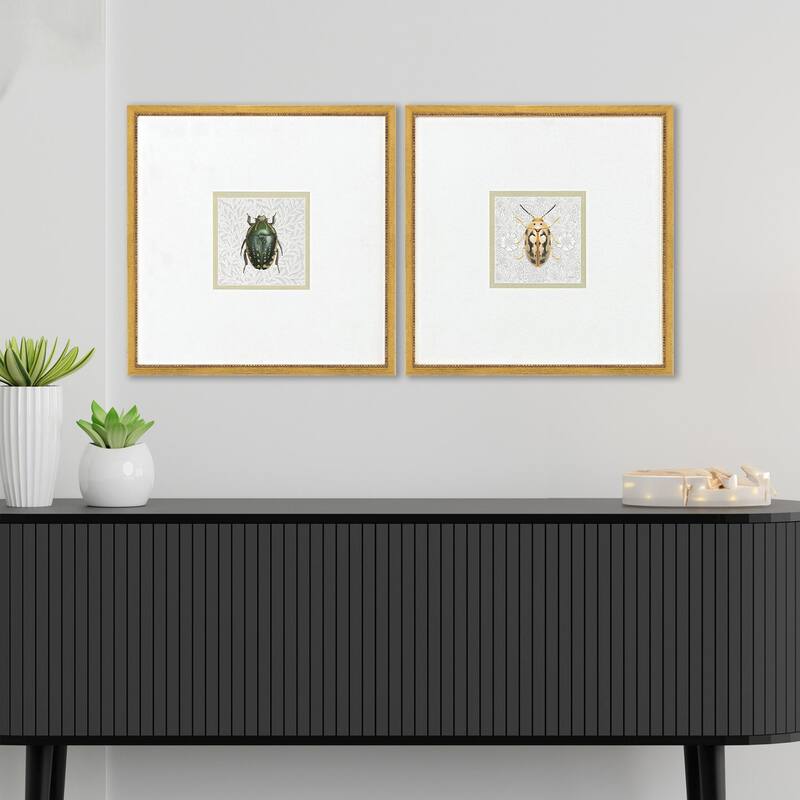 Paragon Beetles Framed Art - Set of 2 - 2-piece Set