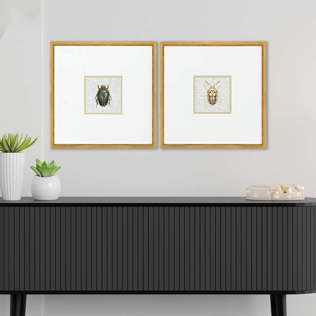 Paragon Beetles Framed Art - Set of 2