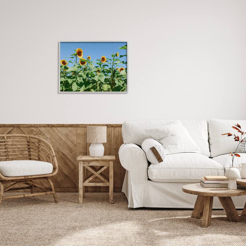 Stupell Tranquil Country Sunflower Meadow Sunny Daytime Blooms Framed ...