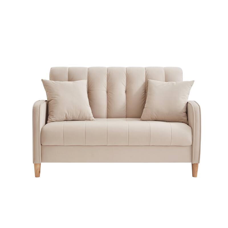 Modern Loveseat, Velvet Tufted Couch Upholstered Futon Sofa with 2 Tufted Pillow for Living Room 2-seat Armchair