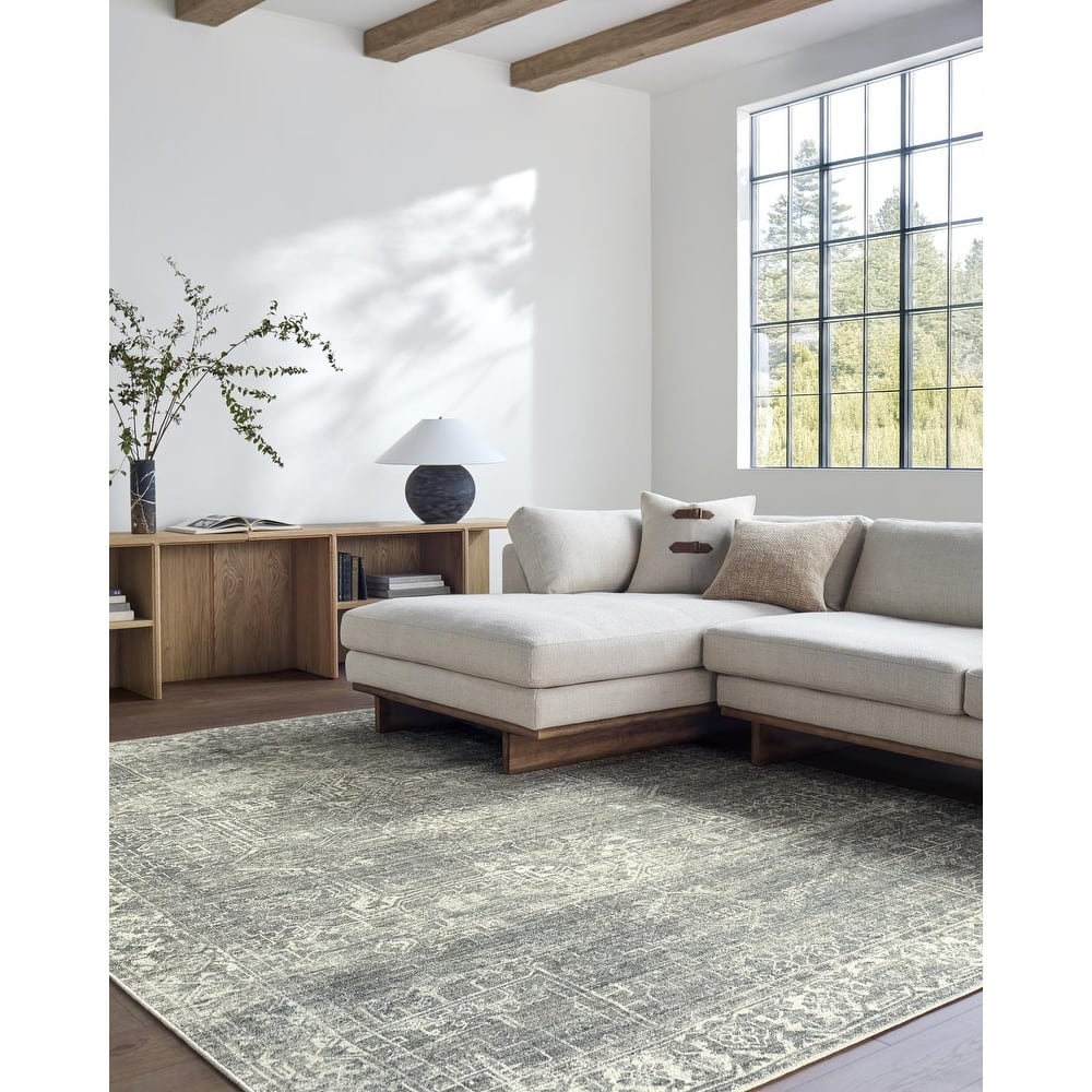 Galey Alix x Livabliss Collins Avenue VII Vintage Medallion Area Rug