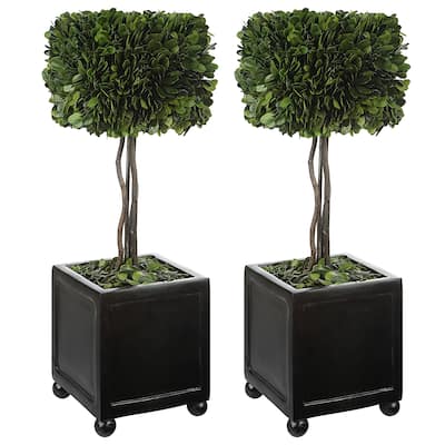 Uttermost Preserved Boxwood Square Topiaries (Set of 2) - 19 x 6 x 6