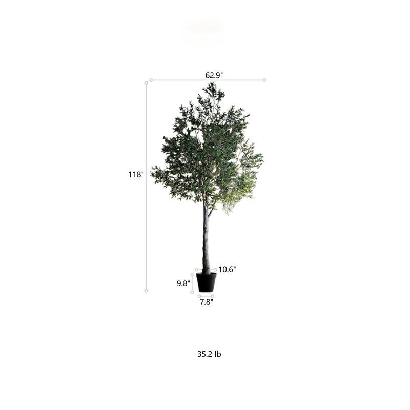 RusticReach Extra Large Tall Olive Tree 118" Tall - 118" Tall