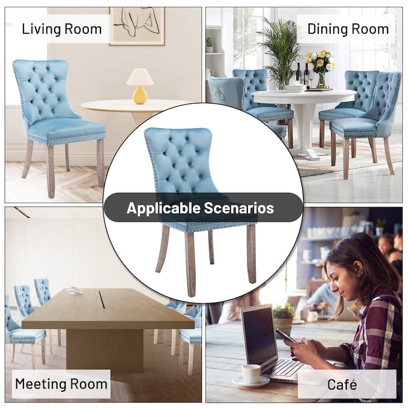 Set of 2 Modern Velvet Dining Chairs – Upholstered Side Chairs with Nailhead Trim and Solid Wood Legs for Kitchen & Dining Room