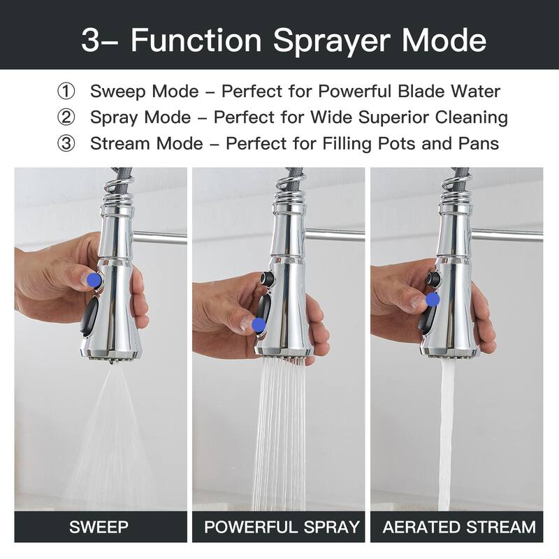 WIZ Single-Handle Pull-Down Sprayer 3 Spray High Arc Kitchen Faucet
