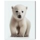 preview thumbnail 2 of 5, Wynwood Studio Canvas Animals Baby Animal Polar Bear White and Modern & Contemporary Wall Art Canvas Print - White,