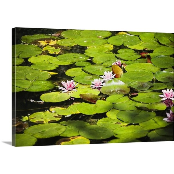 Shop Water Lilies With Lily Pads In A Pond Multi Color