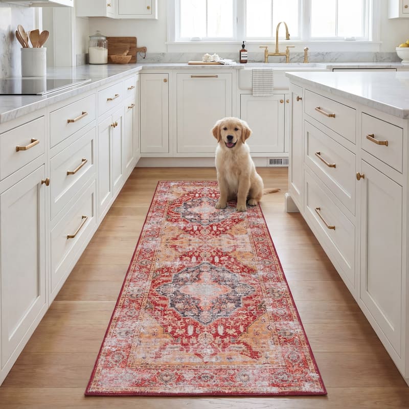 SAFAVIEH Tucson Machine Washable Slip Resistant Effa Traditional Rug