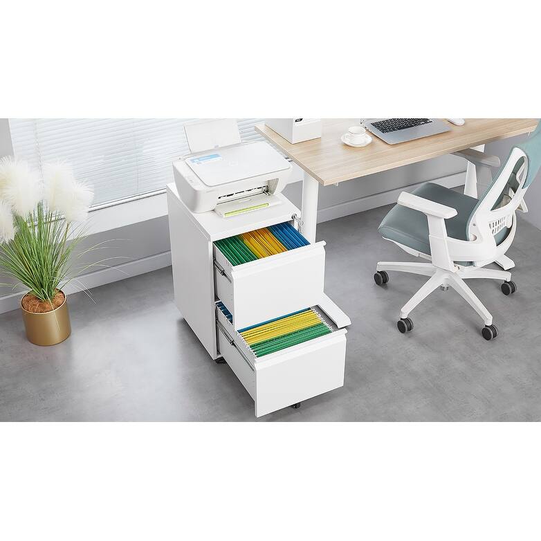 Metal 2 Drawer Mobile File Cabinet with Lock,Under Desk Office Steel Filing Cabinet, 25.6''H Legal/Letter Size Files Cabinet