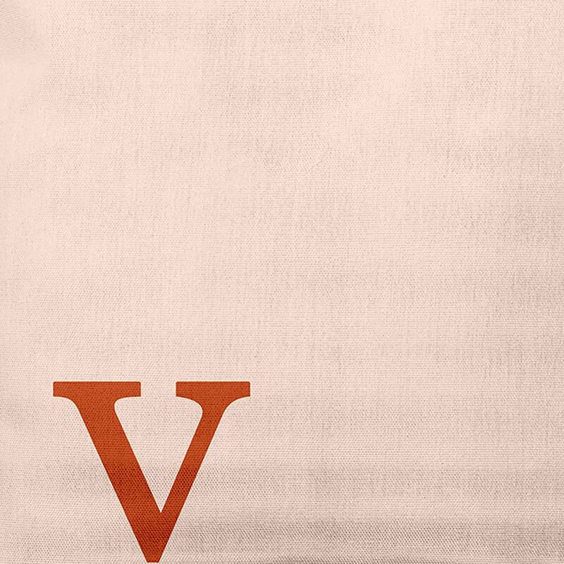 Modern Monogram Indoor/Outdoor Throw Pillow-V