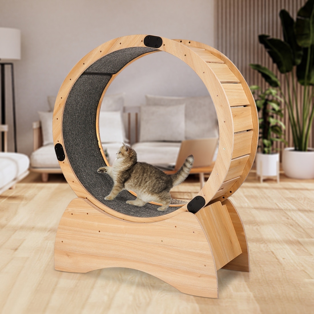 Indoor cat running wheel clearance