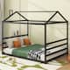 Option Black