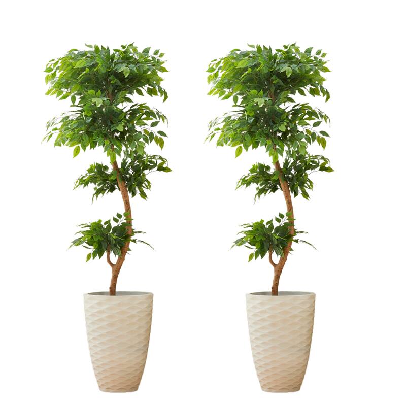 Glitzhome 3ft-6ft Set of 2 Artificial Olive Trees/ Bamboo/ Ficus with Ceramic Planters Real Touch - 2PK 5ft Faux Ficus