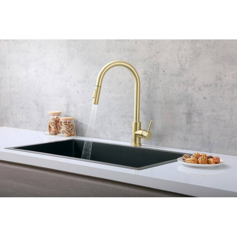 Elegant Lighting FAK-306 Luca 1.8 GPM Single Hole Pull Down Kitchen