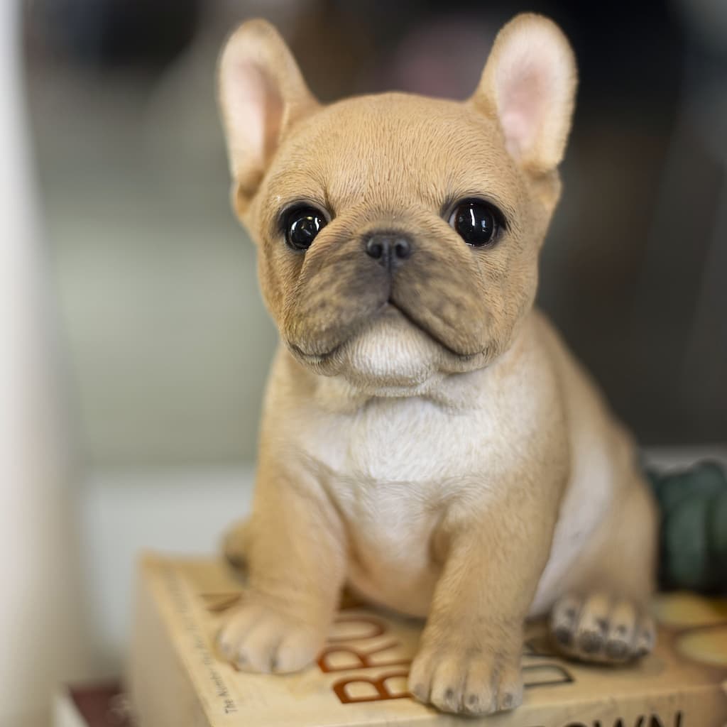 SoReal Brown French Bulldog Decorative Puppy Figurine for Home & Garden Décor, Handpainted Polyresin Dog Statue