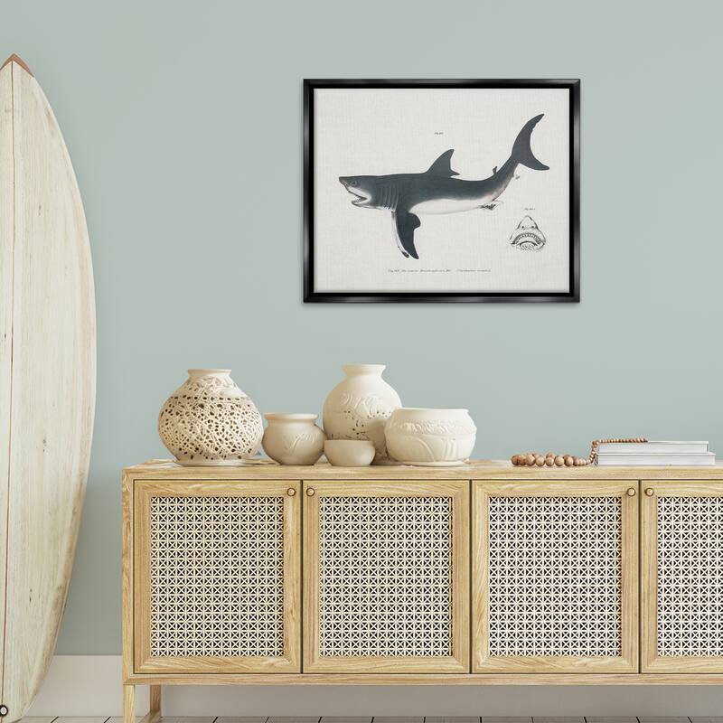 Stupell Detailed Shark Diagram Framed Floater Canvas Wall Art Design By Phillipa Katz