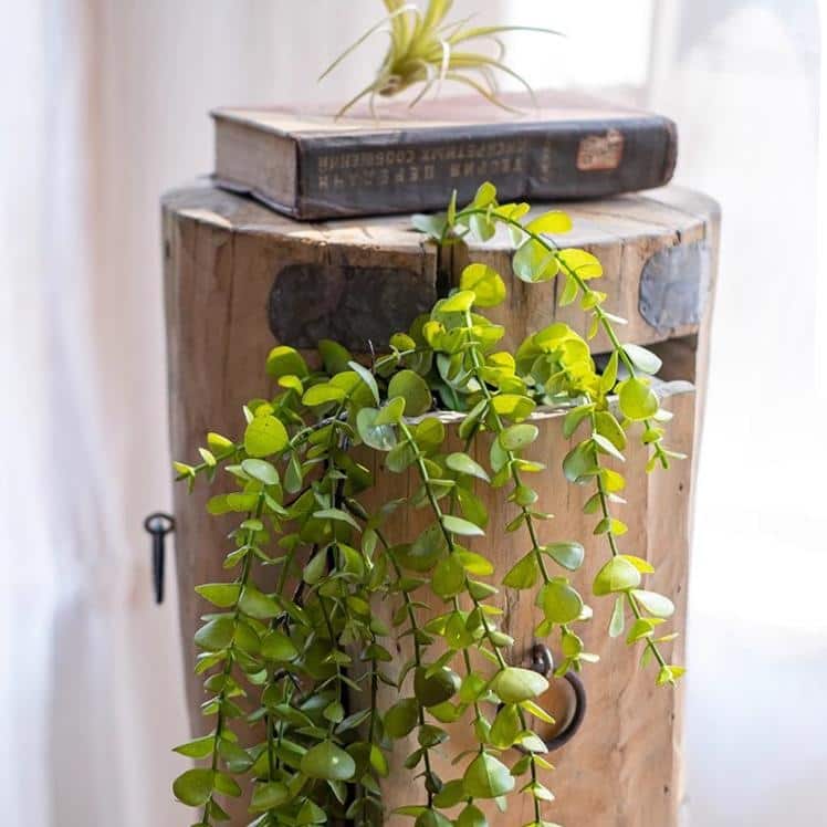 RusticReach Petite Foliage Weeping Fern Sprig