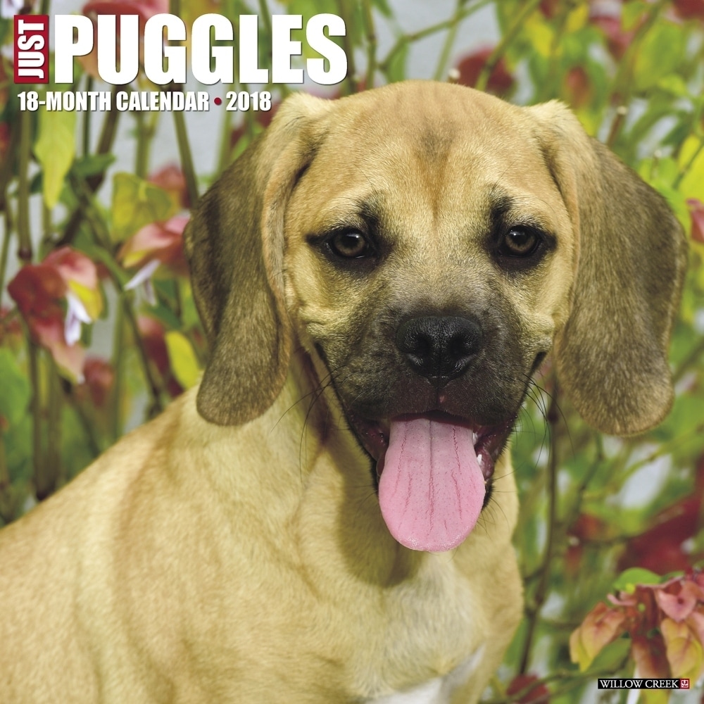 Shop Just Puggles Wall Calendar Puggle By Willow Creek Press Overstock 18141459