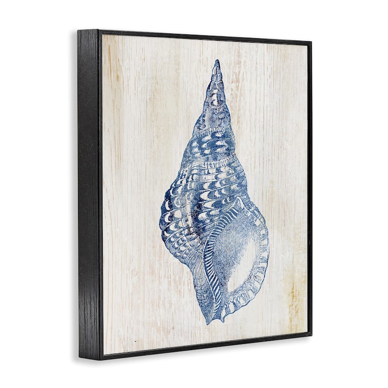 Stupell Tranquil Blue Shell Framed Giclee Art Design By Susan Arnot