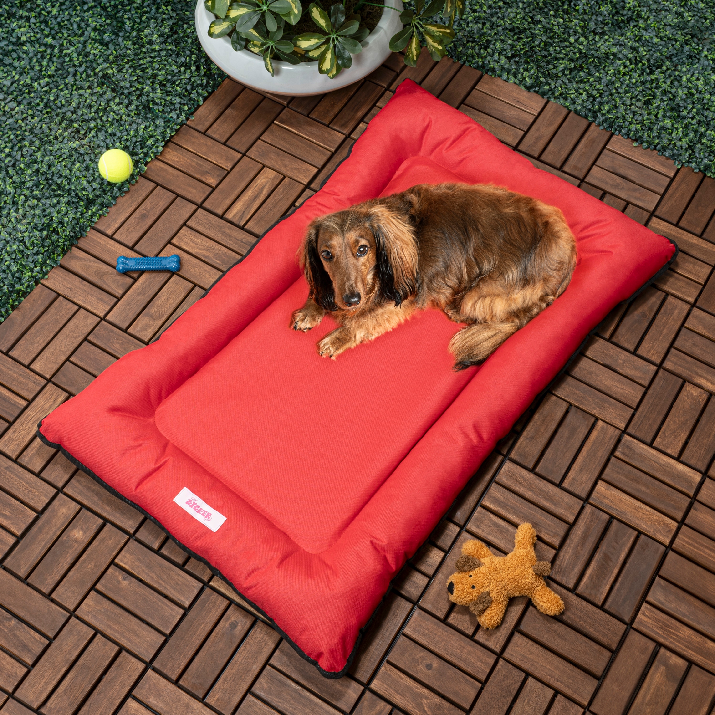 Extra Large Pet Beds Bed Bath Beyond