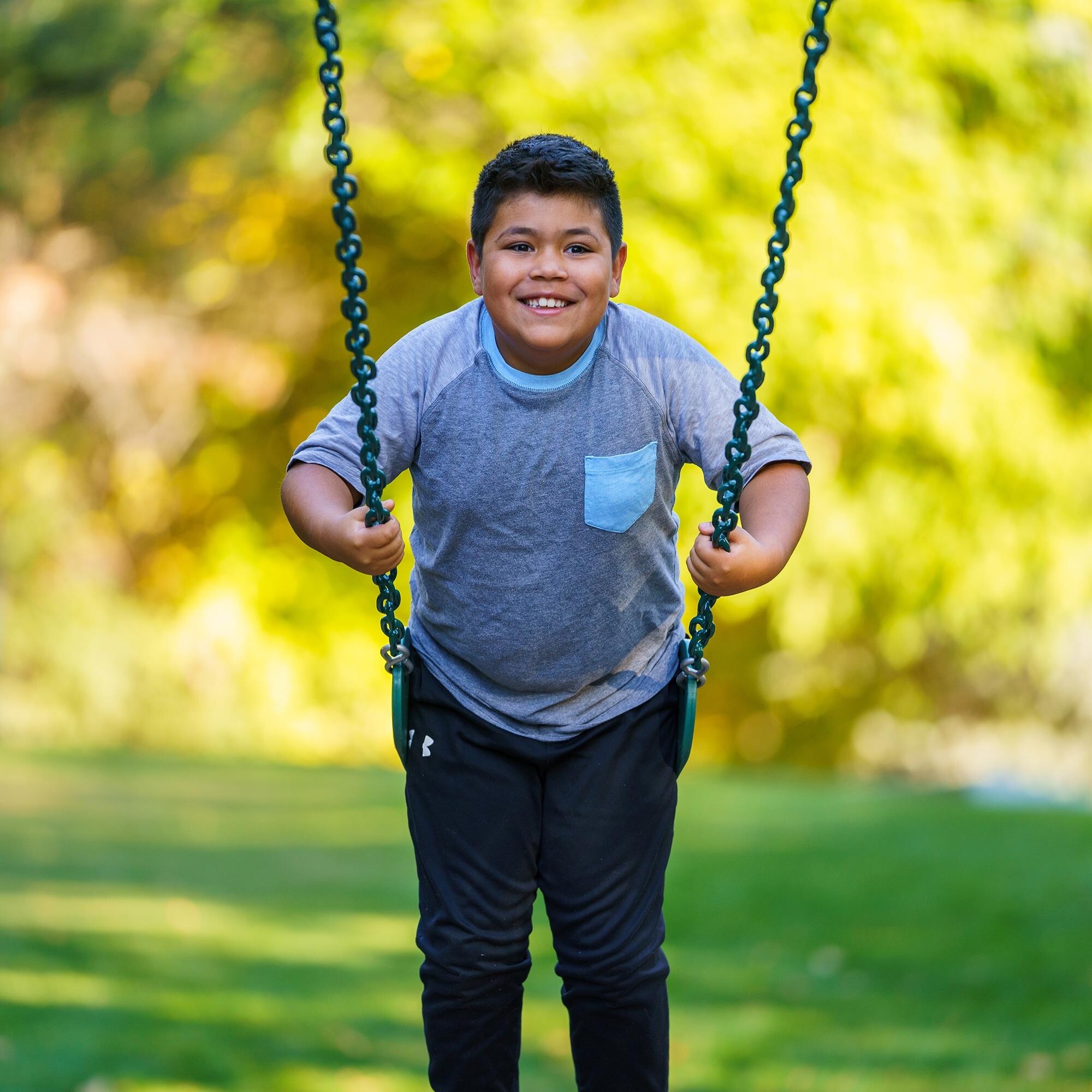 Lifetime metal swing set sale