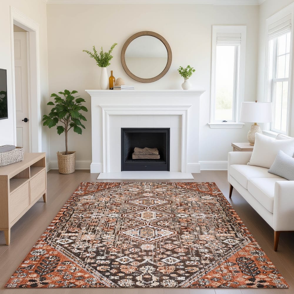 Premium Washable Super Soft Traditional Global Mayfield Rug