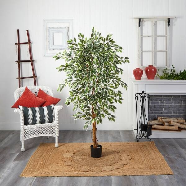 Hawaiian Vintage Tree - 6Ft Tropical Decor - Lush Green White Foliage - Indoor Plant - Home Office Gift - 6ft.