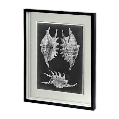 Alabaster Shells V Framed Art Print