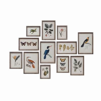 Wood Framed Glass Wall Décor with Insects, Birds, Plants and Fruit, Set of 12