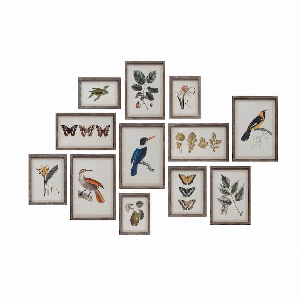 Wood Framed Glass Wall Décor with Insects, Birds, Plants and Fruit, Set of 12