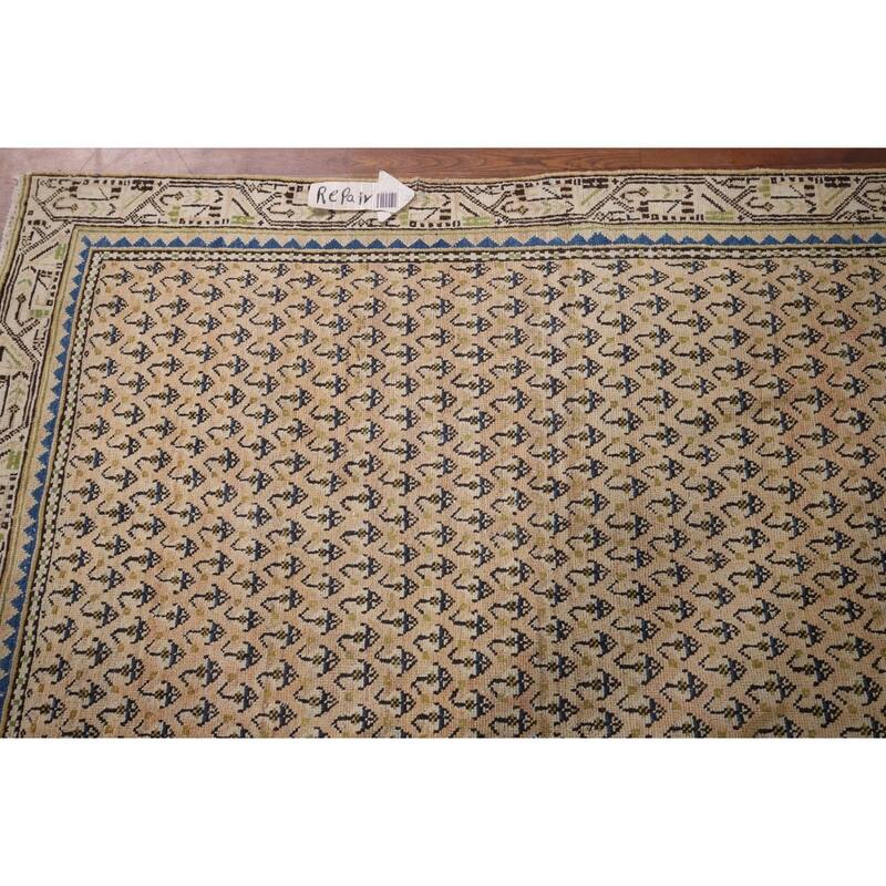 All-Over Boteh Botemir Foyer Rug Hand-Knotted Wool Carpet - 3'9" x 6'3"