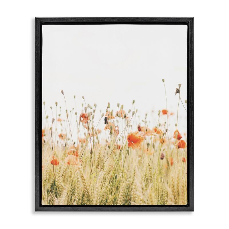 Stupell Poppy Field Photography Framed Floater Canvas Wall Art Design by Krista Broadway